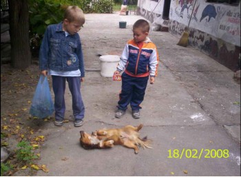 arkanj32.jpg