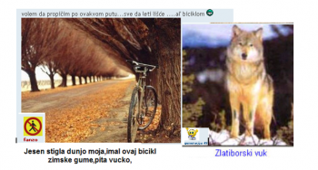 jjjjjjjjjj.png