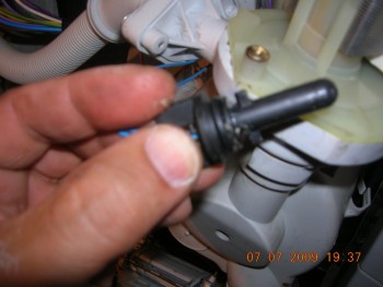 DSCN8455.JPG