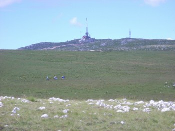 Resize of DSCN0541.JPG