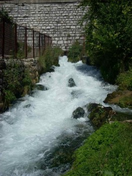 Resize of DSCN0567.jpg