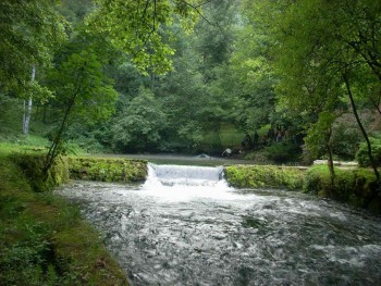 Resize of DSCN0692.jpg