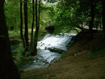 Resize of DSCN0693.JPG