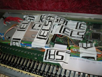 Picture 002-1024.jpg