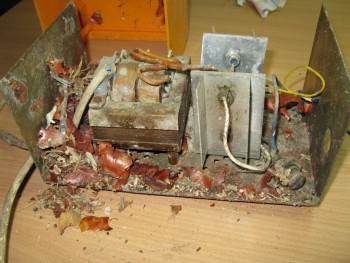 Picture 577-1024.jpg