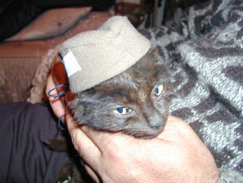PIC00004.jpg