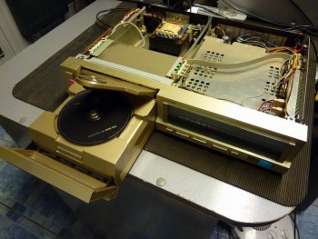 P1020139.jpg