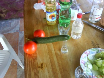salatica.JPG