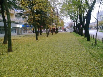 Pg_jutro.jpg