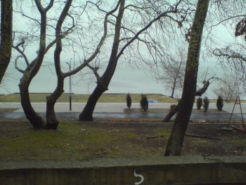 DSC02135.JPG