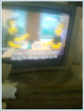 capture2.jpg