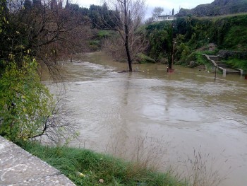 Ribnica 2.jpg