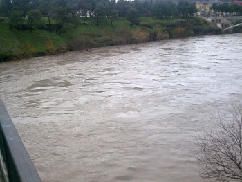 Moraca_2.jpg