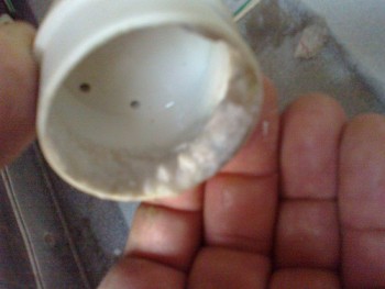 03092012391.jpg
