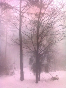 Fotografija01728ohčo.jpg
