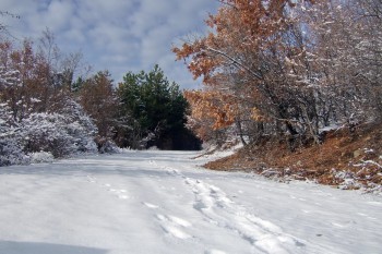 DSCF5945.JPG