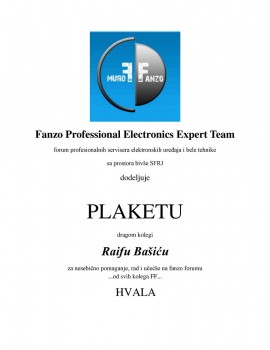 fanzo Professional Electronics Expert Team 41.jpg