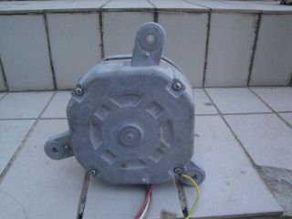 DSC00990.jpg