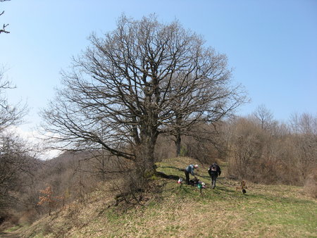 IMG_0109.jpg