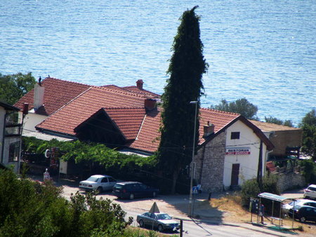 IMG_2665.JPG