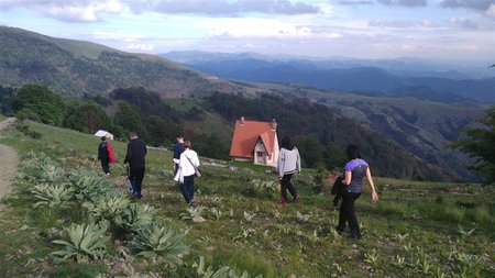 IMG_20160611_175925 (1024 x 576).jpg