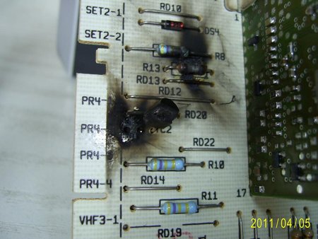 SA404131.JPG