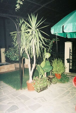 image-0-02-05-7d65ca9be42d09f8556611121d485419cdc64b89a9fd8ce9191e8a9bb9c72009-V.jpg