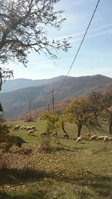 20171021_110751-459x816-229x407.jpg