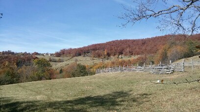 20171021_104414-816x459-408x230.jpg