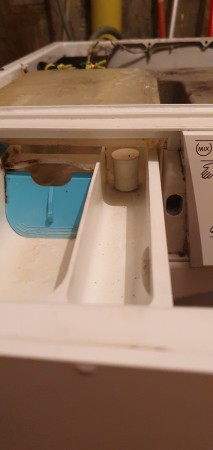 20231206_174957.jpg