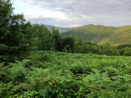 IMG_1060.jpg