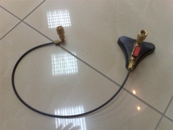 190820111279 (Medium).jpg