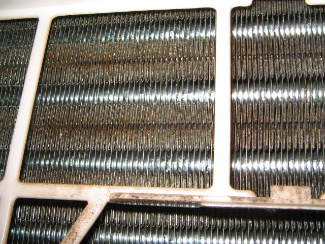 TOYO3.JPG